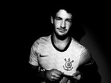 Pato